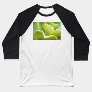 Lime green leaves Baseball T-Shirt